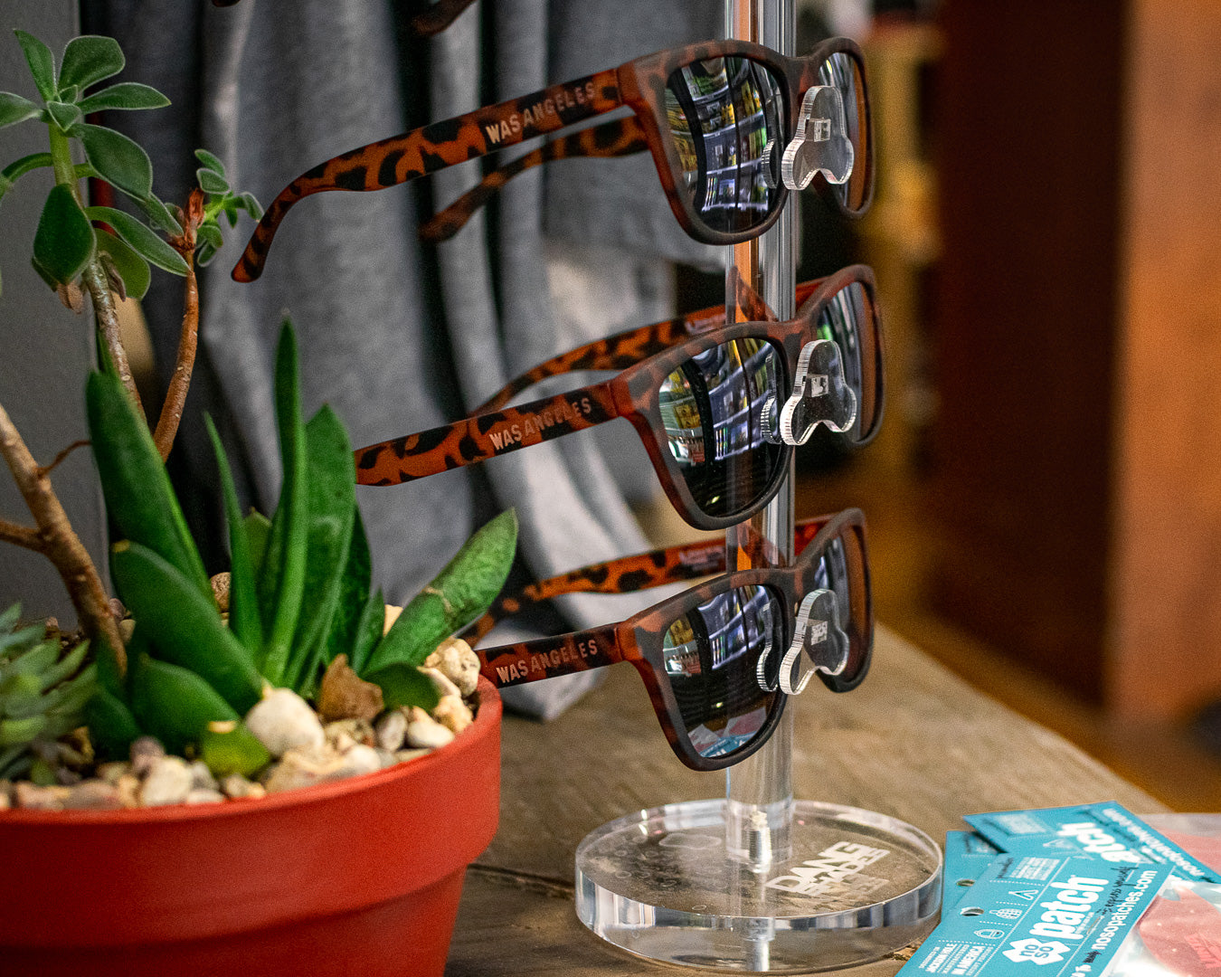 Sunglasses on a display rack next to a succulent plant